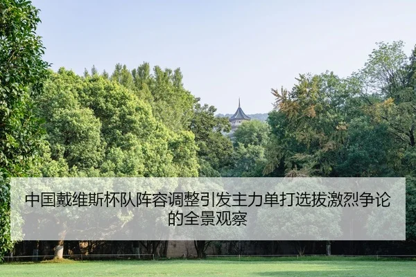zhong-guo-dai-wei-si-bei-dui-zhen-rong-tiao-zheng-yin-fa-zhu-li-dan-da-xuan-ba-ji-lie-zheng-lun-de-quan-jing-guan-cha-2-426.jpg